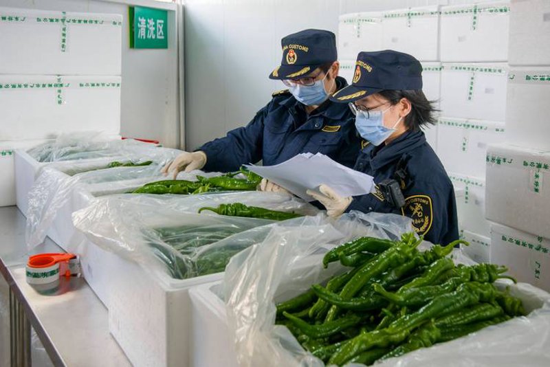 本地蔬菜直供：绿色健康的菜篮子工程